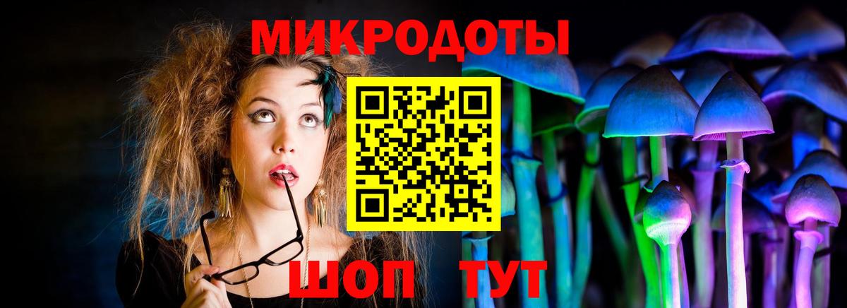 Киселёвск  Псилоцибиновые грибы Magic Shrooms  Вход с VPN 