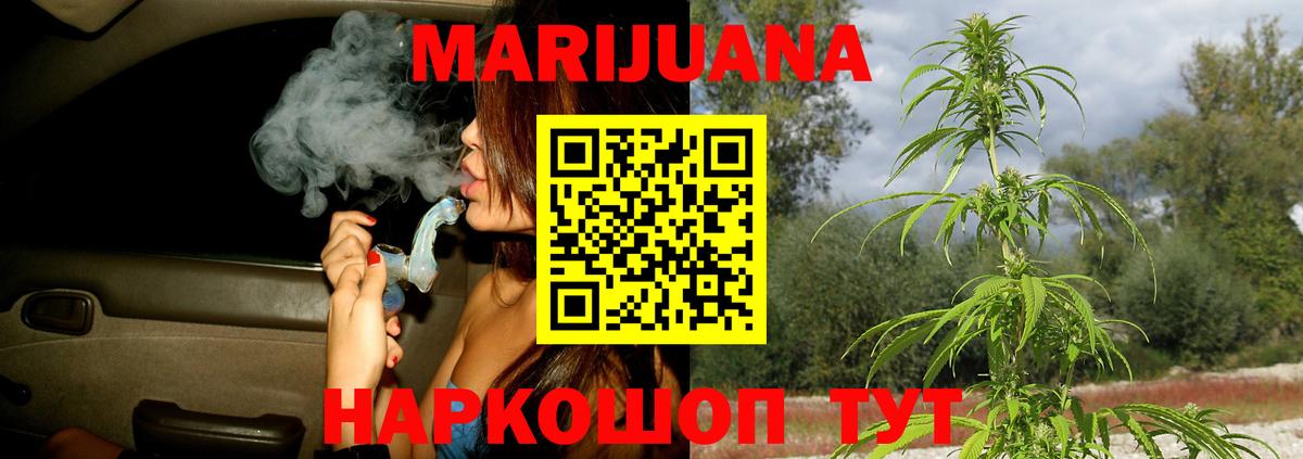 Бошки марихуана тримм  Вход с VPN  Киселёвск  Шишки марихуана сатива 